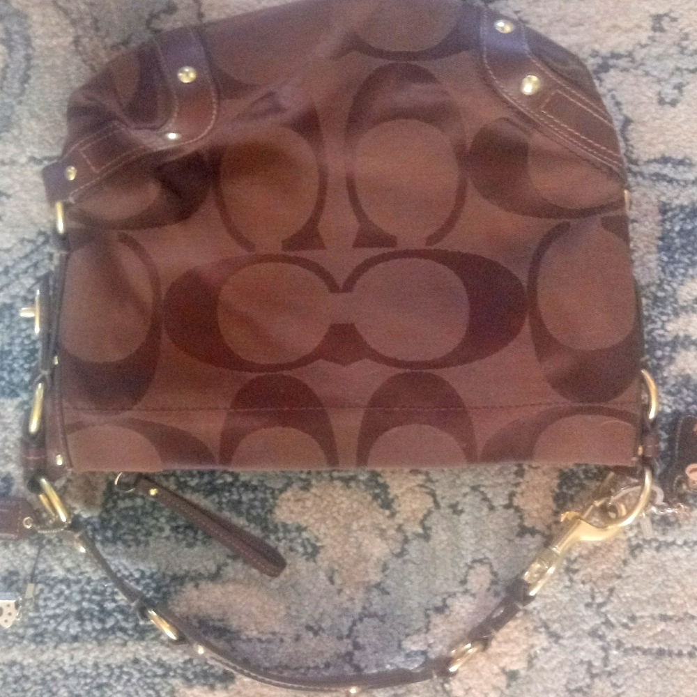 Coach Signature Print Hobo Bag